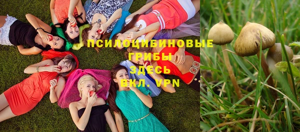 гашишное масло Новокубанск