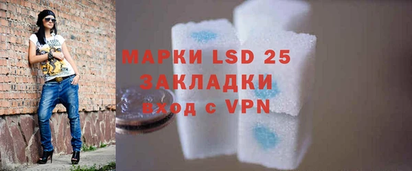прущие грибы Новозыбков