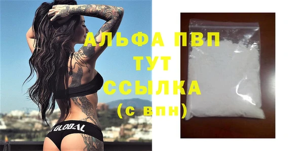 прущие грибы Новозыбков