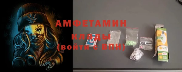 прущие грибы Новозыбков