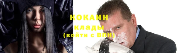 сатива Нягань
