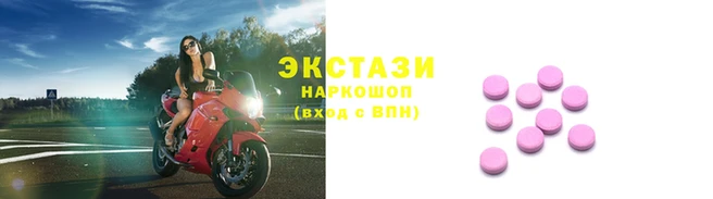 прущие грибы Новозыбков