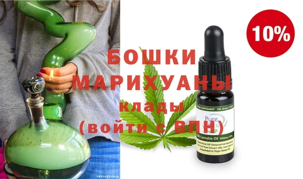 прущие грибы Новозыбков