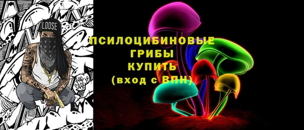 крисы Нязепетровск