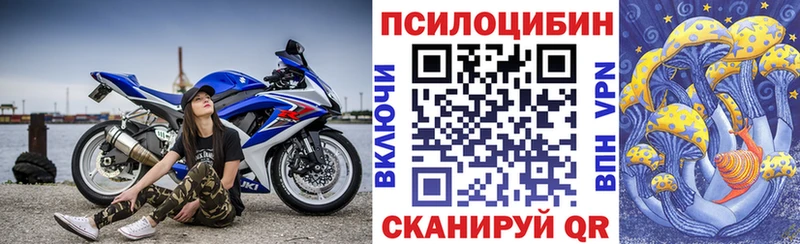 где купить наркоту  Осташков  гидра зеркало  Псилоцибиновые грибы мицелий 