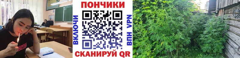 наркотики  Осташков  Марихуана Bruce Banner 